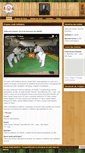 Mobile Screenshot of judosolidario.com.br